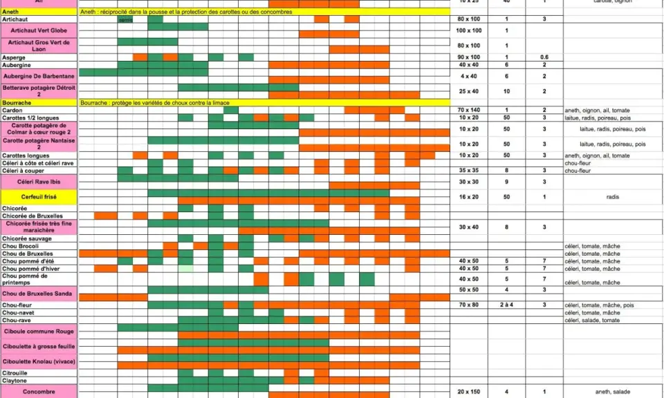 Tableau du calendrier des semis par région, indiquant les périodes de plantation et les associations de légumes pour un potager réussi.