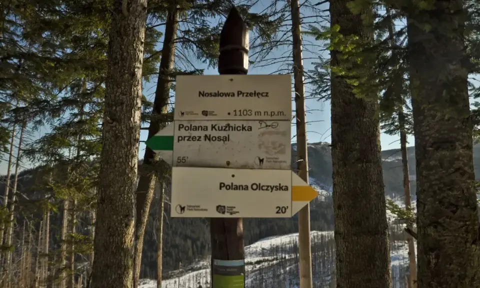 Droga przez las prowadzi na Nosalową Przełęcz (1103 m n.p.m.). Wskazówki kierują do Polany Kuźnickiej i Polany Olczyskiej.