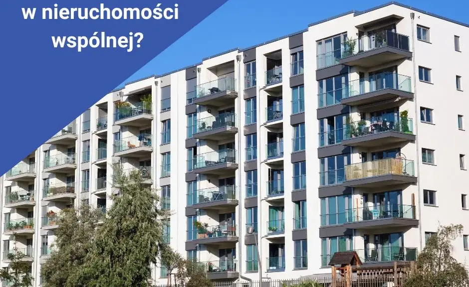 Oblicz udział w nieruchomości wspólnej: Klucz do Twoich praw i opłat