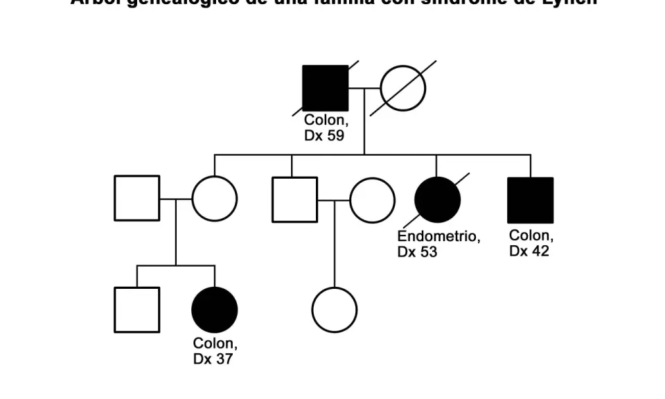Árbol genealógico para construir la historia familiar de Lynch, mostrando casos de cáncer de colon y endometrio.