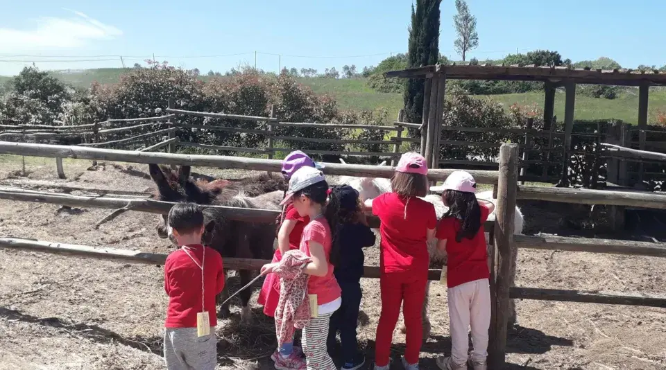 Bambini in visita a una fattoria vicino Firenze, osservano curiosi gli asini e altri animali nel recinto.