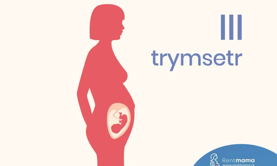 III trymestr ciąży: sylwetka kobiety w ciąży z widocznym płodem.
