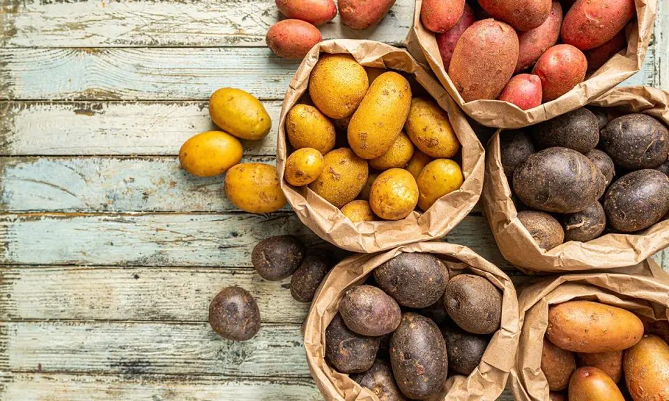 Une variété de pommes de terre, rouges, jaunes et violettes, débordent de sacs en papier sur une table en bois vieilli.