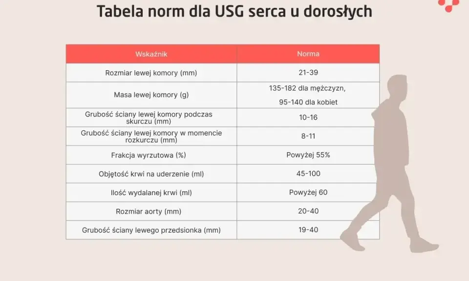 Tabela norm dla USG serca u dorosłych. Poznaj echo serca co to za badanie i jakie są jego normy.