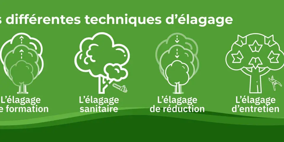 Quatre illustrations montrent différentes techniques pour élaguer un arbre : formation, sanitaire, réduction et entretien.