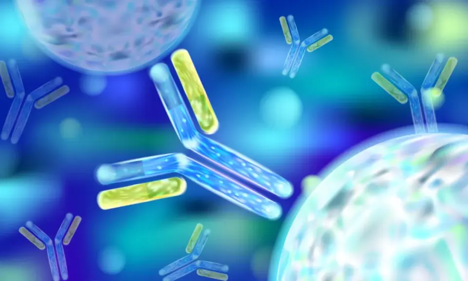 Błękitne przeciwciała atakują bakterie Helicobacter. To wizualizacja antybiotyku na helicobacter.