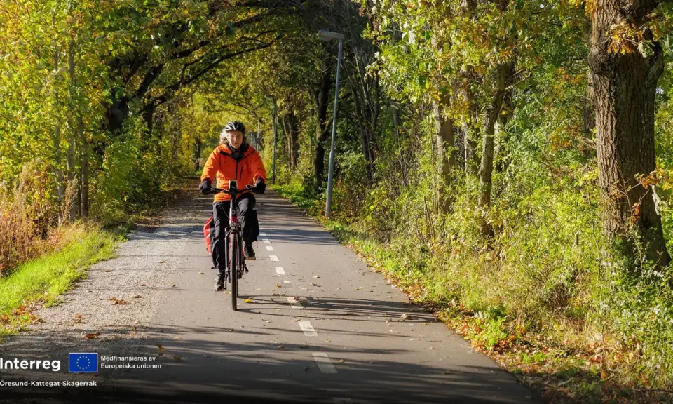 En person cyklar på en asfalterad cykelväg kantad av träd i höstfärger. En härlig cykeltur i Åkersberga.