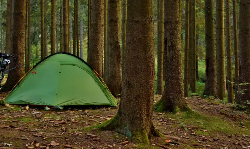 Zielony namiot i rowery w lesie. Proste wskazówki, jak rozłożyć namiot, by cieszyć się naturą.