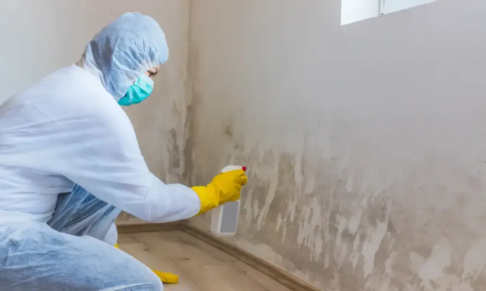 Persona con traje protector y mascarilla rocía producto para eliminar moho en la pared.