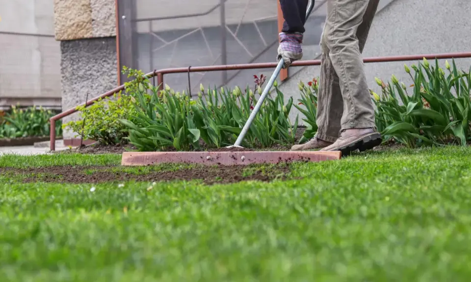 A person rakes soil to fix a bumpy lawn, preparing the ground for new grass.