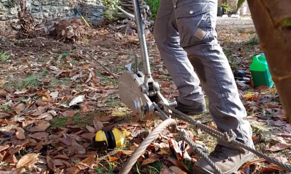 Un homme utilise un treuil pour tenter de comment enlever une souche d'arbre manuellement. Des feuilles mortes jonchent le sol.