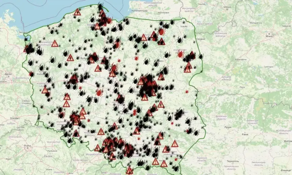 Gdzie jest najwięcej kleszczy w Polsce? Unikaj tych miejsc!