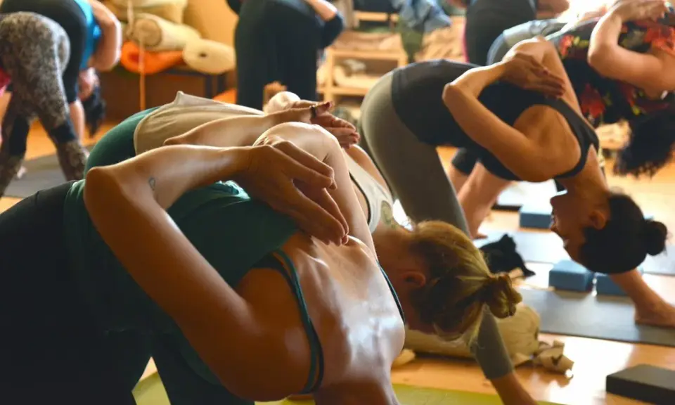 En grupp människor böjer sig framåt i en yogastudio, en aning om yoga i rörelse.