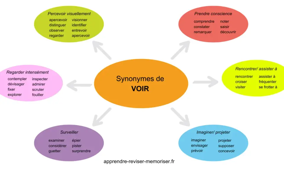 Carte mentale illustrant les synonymes de "voir", classés par nuances : percevoir visuellement, regarder intensément, surveiller, imaginer/projeter, rencontrer/assister à, prendre conscience.