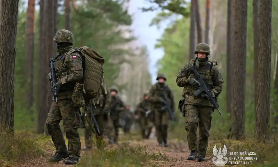 Z WOT do wojska zawodowego: Twój przewodnik po karierze w armii