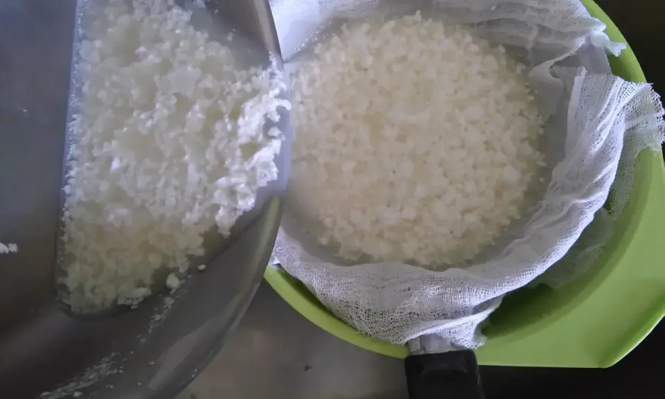 Jak zrobić bryndzę z buncu? Domowy przepis krok po kroku