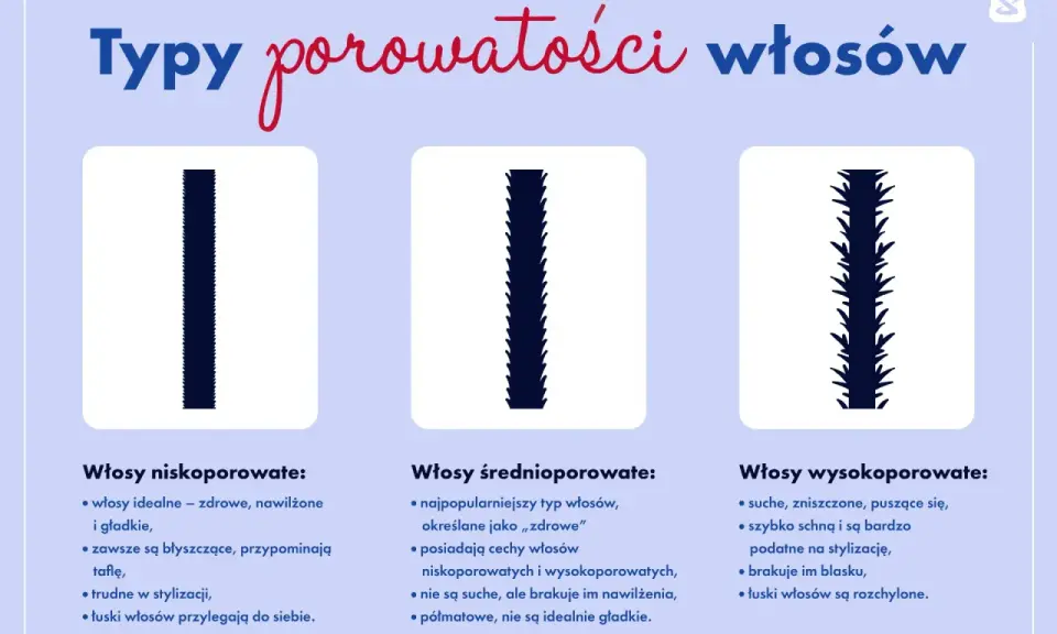 Ilustracja przedstawia trzy typy włosów: niskoporowate (gładkie), średnioporowate (półmatowe) i wysokoporowate (puszące się).