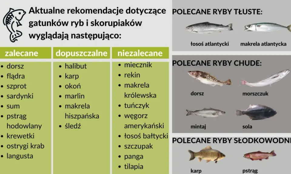 Rekomendacje ryb dla dzieci: dorsz, flądra, sardynki, pstrąg. Polecane ryby tłuste i chude, słodkowodne.