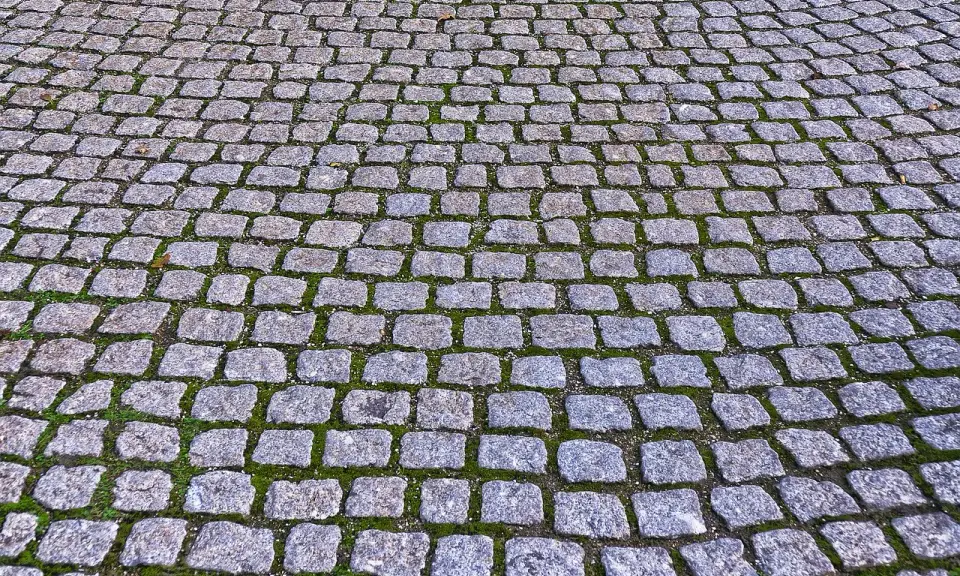 Szara kostka granitowa ułożona na ścieżce, z widocznym zielonym mchem między kamieniami. Fugowanie kostki granitowej suchym betonem zapewnia trwałość nawierzchni.