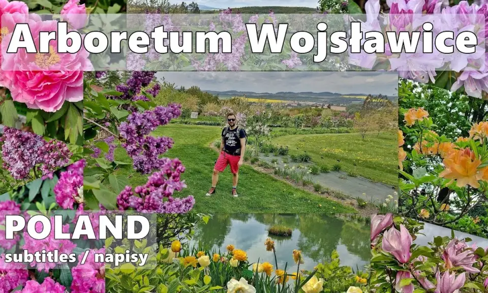 Arboretum Wojsławice: Kiedy jechać, by zobaczyć najpiękniej?