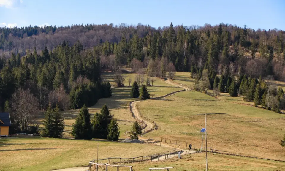 Kręta ścieżka prowadzi przez zieloną halę boracza, otoczoną gęstym lasem. W oddali widać samotnego turystę.