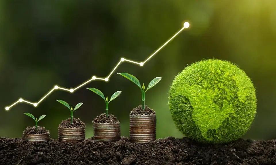 Wachsende Pflanzen auf Münzstapeln, die einen Aufwärtstrend symbolisieren, neben einer grünen Erde. Ein Beitrag zum Klimaschutz, der Wachstum und Hoffnung zeigt.