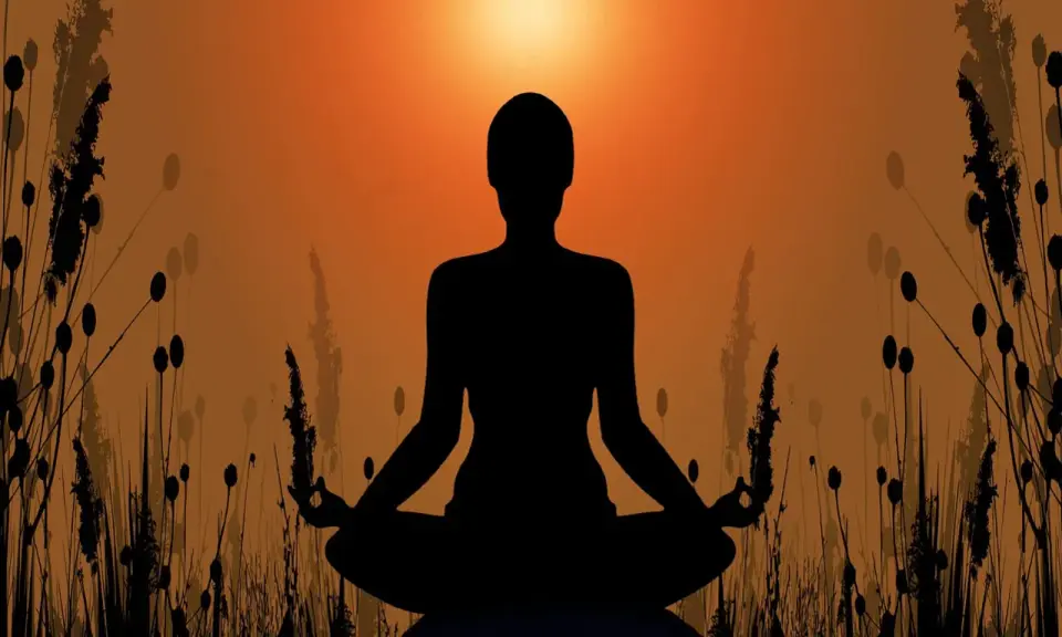 Silhuett av en person i meditationsställning, omgiven av gräs och med en solnedgång i bakgrunden. En bild som symboliserar meditation och hinduism.