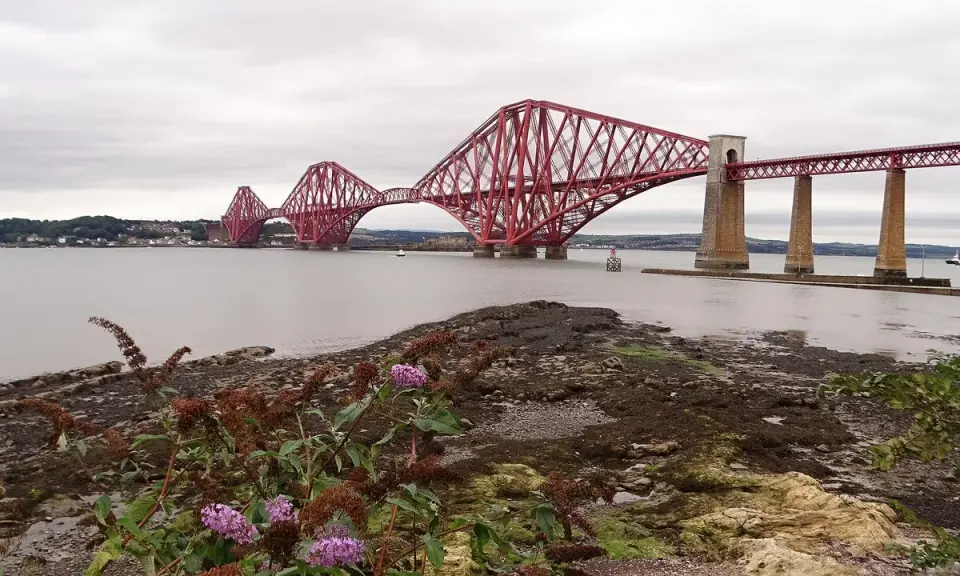 El icónico puente de Forth se alza majestuoso sobre el agua, con sus característicos arcos rojos. En primer plano, flores moradas y ramas secas añaden un toque de naturaleza a la escena.