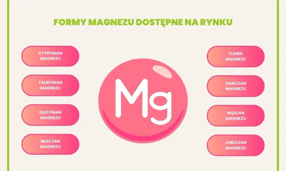 Glicynian magnezu na co? Grafika przedstawia różne formy magnezu dostępne na rynku, w tym glicynian magnezu.