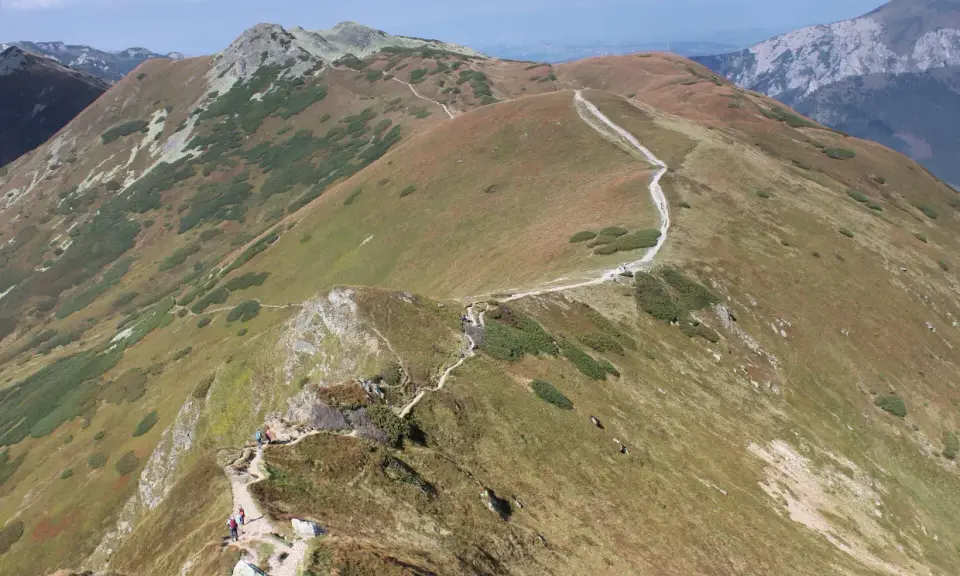 Szlak turystyczny wije się po zboczach Starorobociańskiego Wierchu, otoczony trawami i kosodrzewiną.