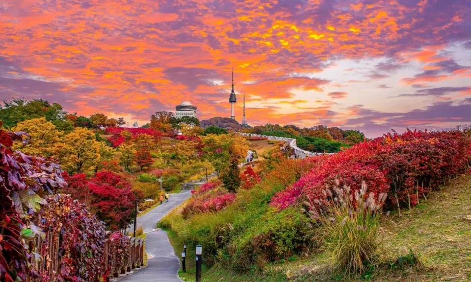 Un sentiero serpeggia tra foliage autunnale vibrante, con la Torre di Seoul in lontananza. Un'immagine perfetta di cosa vedere a Seoul in autunno.