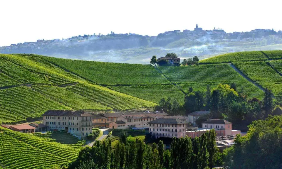 Agriturismi in Piemonte, Langhe: vigneti a perdita d'occhio e borghi collinari. Un paesaggio da sogno.