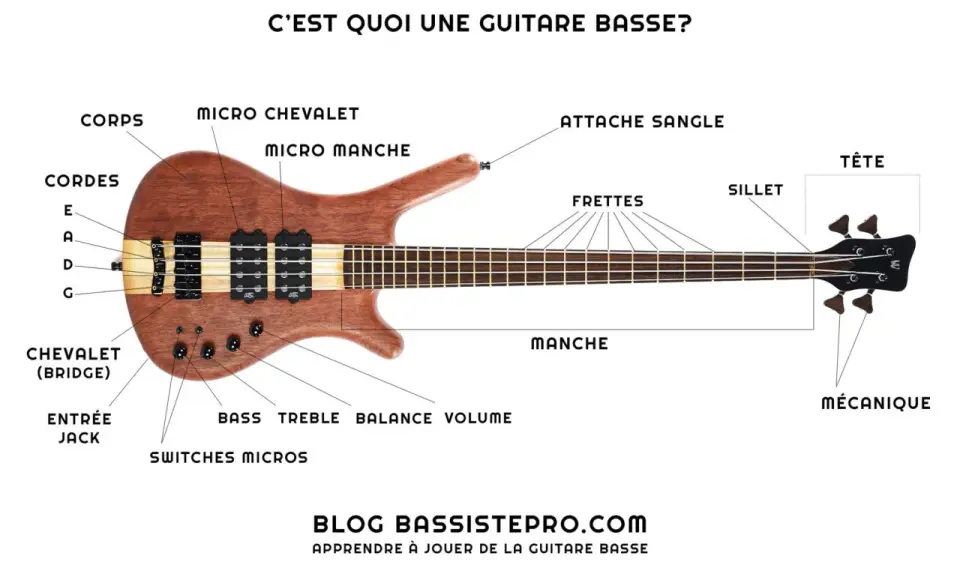 Schéma d'une guitare basse, expliquant ses différentes parties comme le corps, le manche, les cordes et les micros. La différence basse et guitare électrique réside dans le nombre de cordes et la profondeur du son.