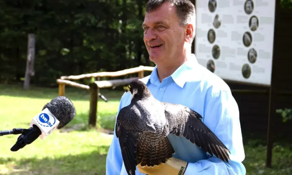 Mężczyzna w błękitnej koszuli prezentuje sokoła na rękawicy. Obok mikrofon TVN24.
