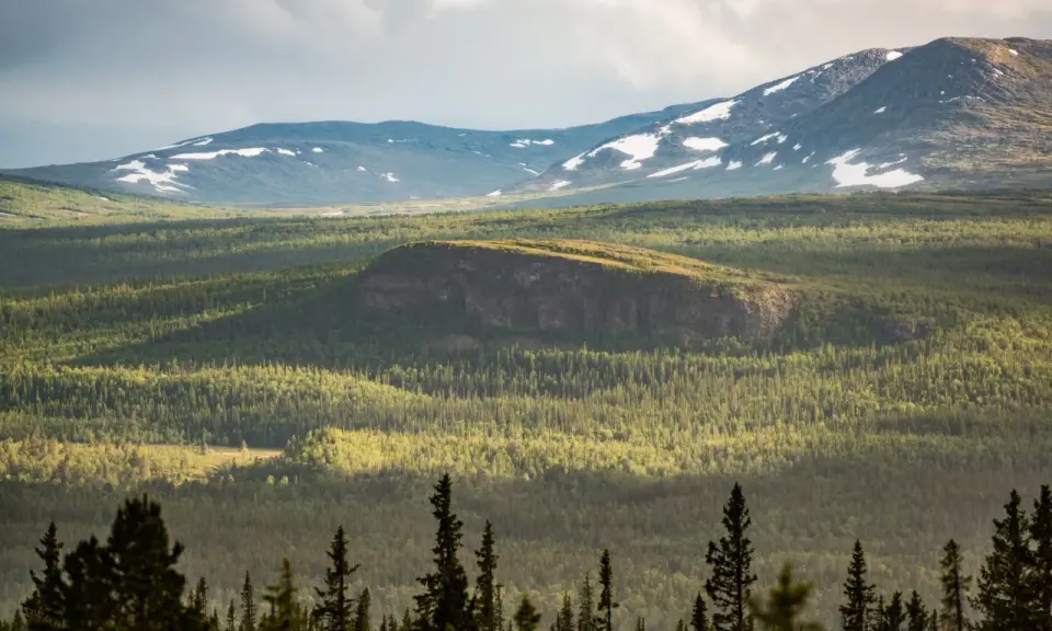 Välkommen till Vålådalens naturreservat! En vidsträckt vy över fjäll, skog och snöfläckar under en dramatisk himmel.