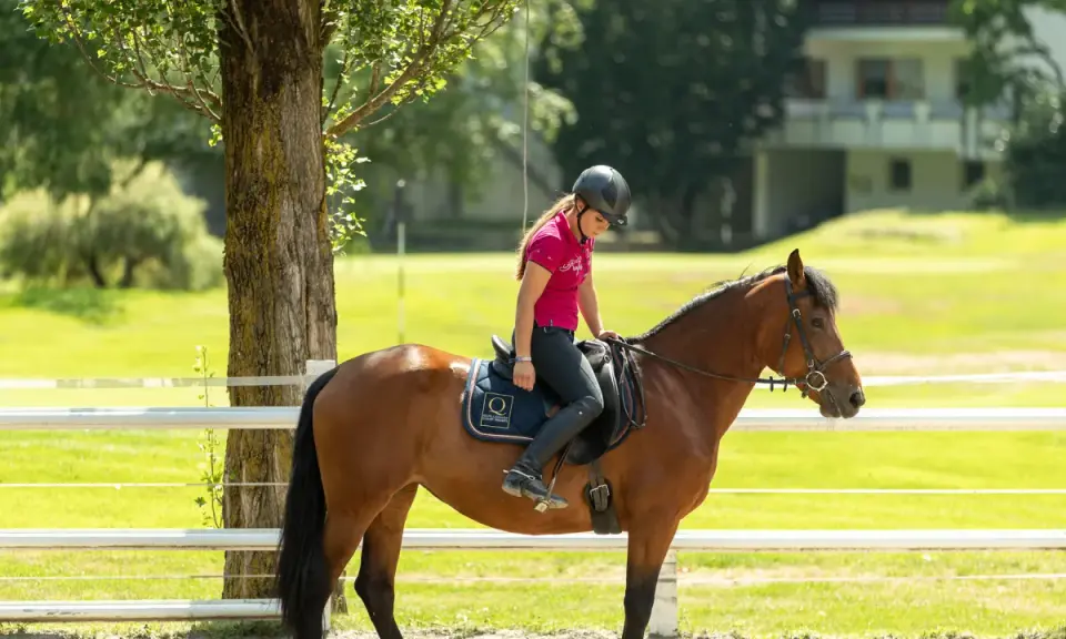 Ragazza in sella a un cavallo castano in un maneggio, con un edificio sullo sfondo. Un'esperienza indimenticabile in un hotel con maneggio.