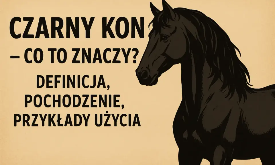 Czarny koń: Kto to jest? Odkryj prawdziwe znaczenie frazeologizmu.