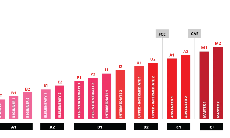 Poziom angielski B1 to Intermediate 1 i 2, P1, P2. To etap, gdzie zaczynasz swobodnie komunikować się w prostych sytuacjach.