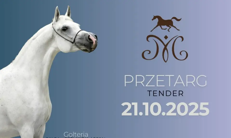 Stadnina Nowe Jankowice przetarg: Cała na sprzedaż? Sprawdź!