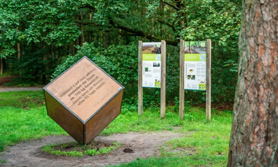 Ein großer Holzwürfel mit Text über Sauerstoffproduktion steht im Wald. Daneben informieren zwei Tafeln über klimafreundliches Leben.