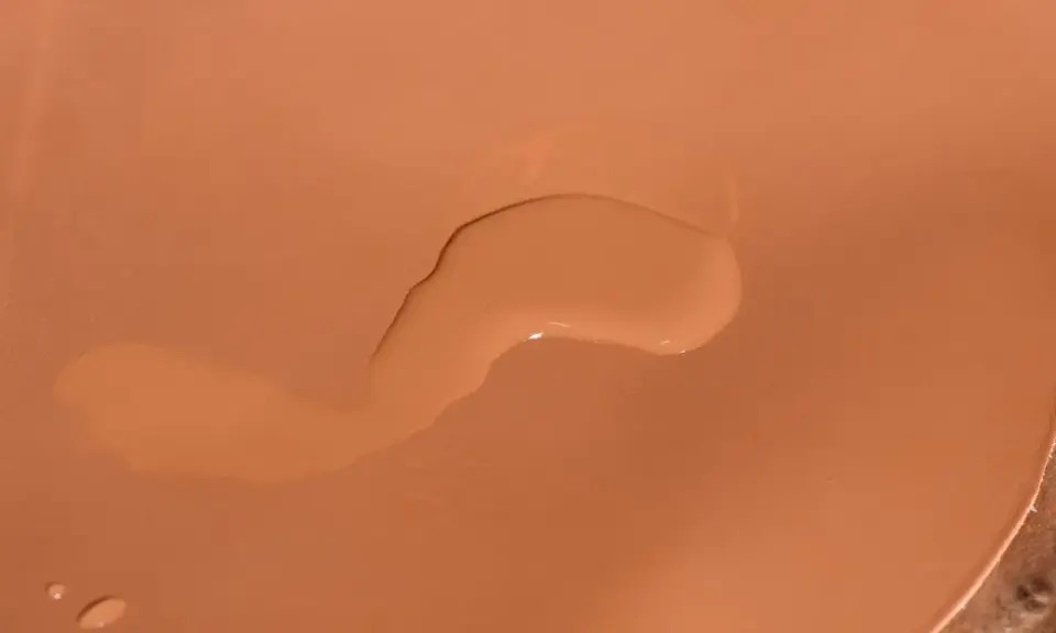 Une tache d'eau sur cuir non traité, créant une légère décoloration.