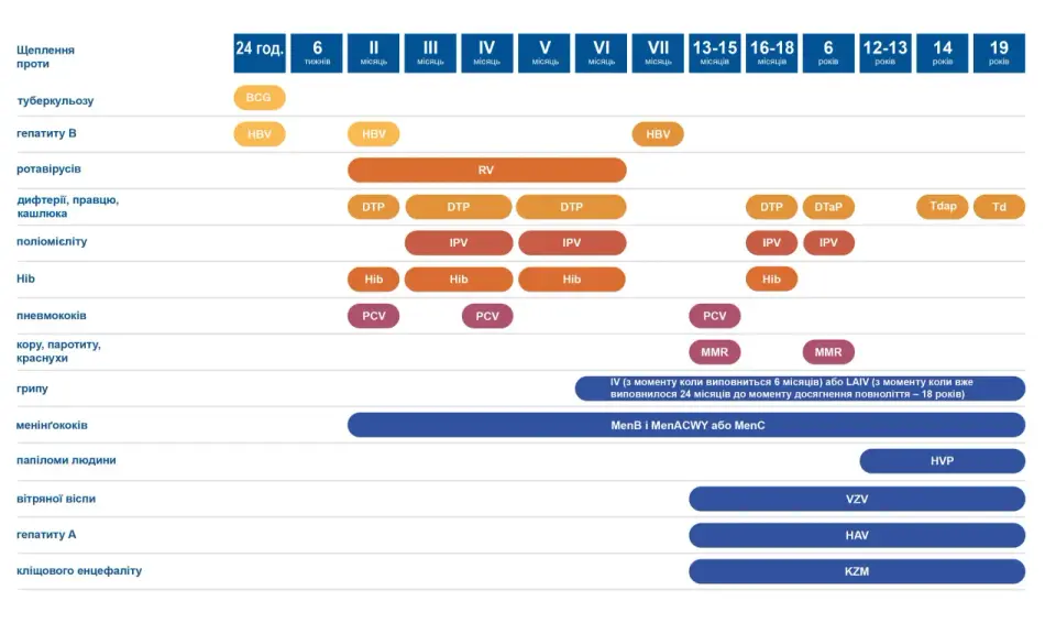 Harmonogram szczepień wzw b i innych chorób: BCG, HBV, RV, DTP, IPV, Hib, PCV, MMR, HVP, VZV, HAV, KZM.
