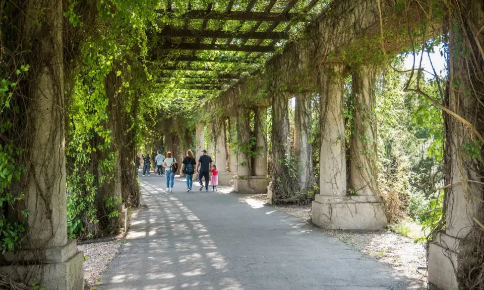 Pergola porośnięta bluszczem, spacerujący ludzie. Jedna z urokliwych wrocławskich atrakcji.
