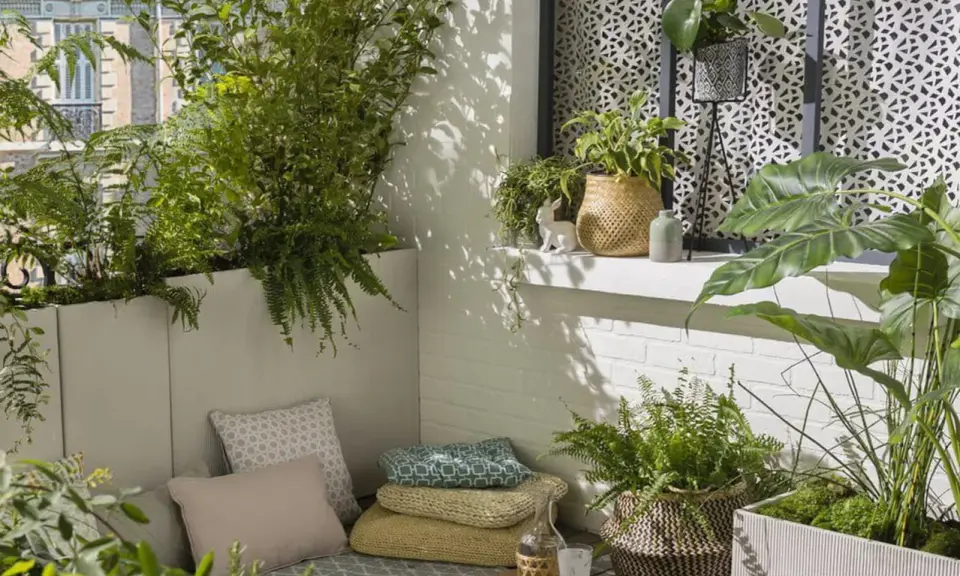 Un coin détente sur un balcon avec une plante brise-vue qui pousse vite en bac, des coussins et des plantes vertes.