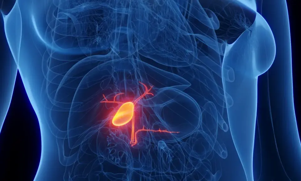 Anatomical rendering of a human torso showing the gallbladder highlighted in yellow and red, indicating potential rak pęcherzyka żółciowego.