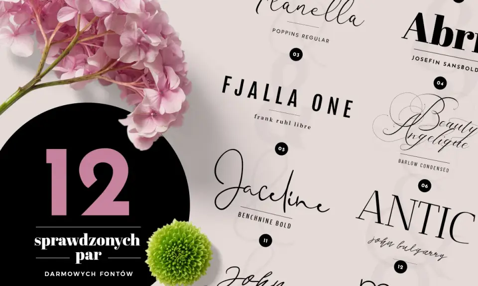 Kolekcja 12 darmowych fontów, w tym elegancki moontime font, obok różowych hortensji i zielonej chryzantemy.