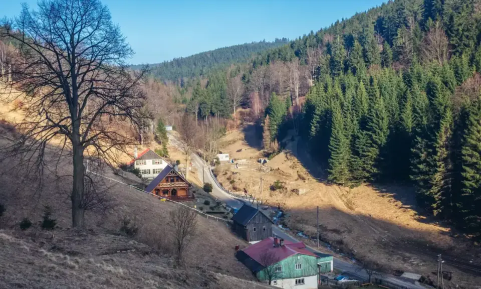 Malownicze domki w górach Sowich, otoczone lasem i wczesnowiosenną przyrodą.