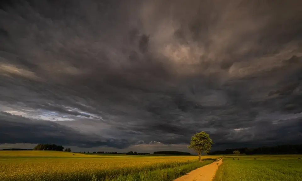 Burzowe niebo nad polami rzepaku. Droga wije się przez zielone łąki, a samotne drzewo stoi na tle dramatycznych chmur. To piękne krajobrazy Podlasia.