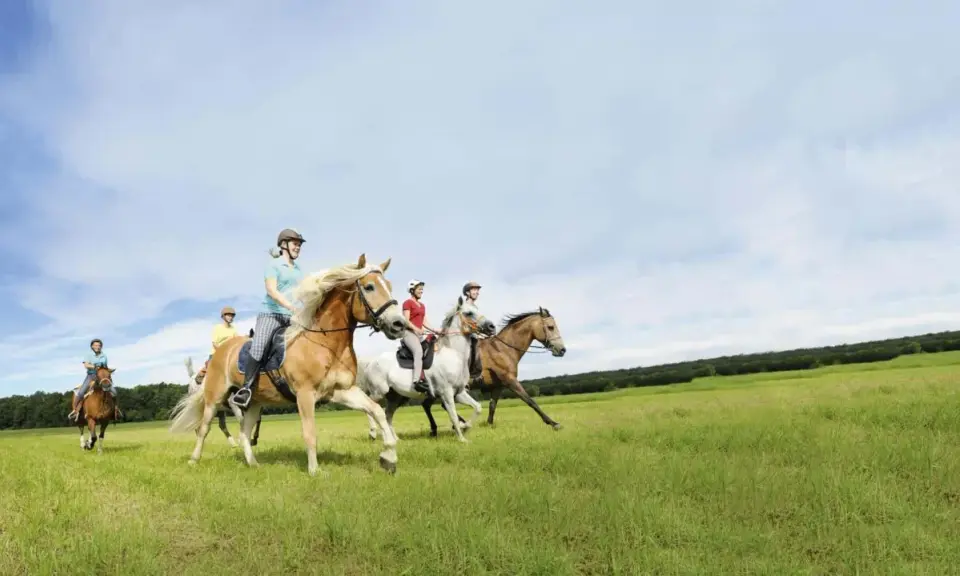 Vier Reiter genießen das trail reiten auf ihren Pferden über eine grüne Wiese unter blauem Himmel.