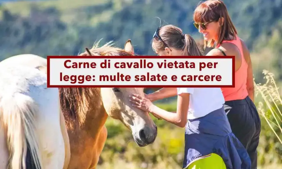 Due donne accarezzano un cavallo. Sopra, un cartello rosso e bianco avverte: "Carne di cavallo vietata per legge: multe salate e carcere".